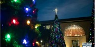 TAMIU prepares Annual Tree Lighting Ceremony