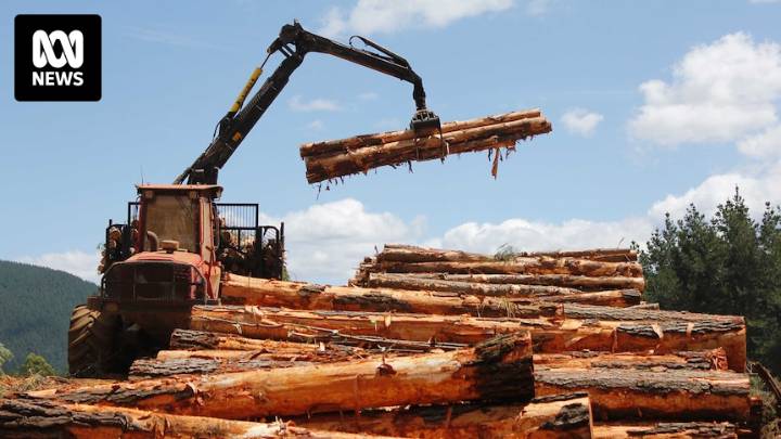 Coalition won't back environment reforms without changes