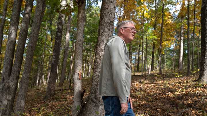 Can controlled burns save Indiana forests? Environmentalists disagree