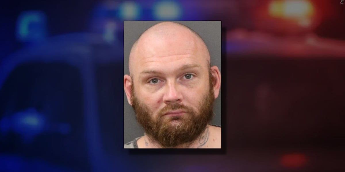Grand Island man facing felony charges after attacking and biting a woman