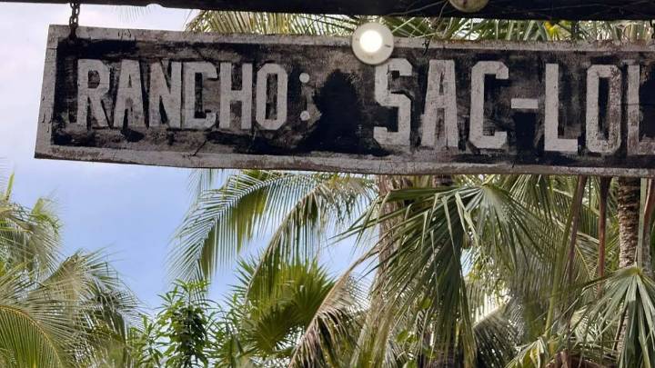Suman 16 osamentas en cementerio clandestino en Puerto Morelos, Quintana Roo
