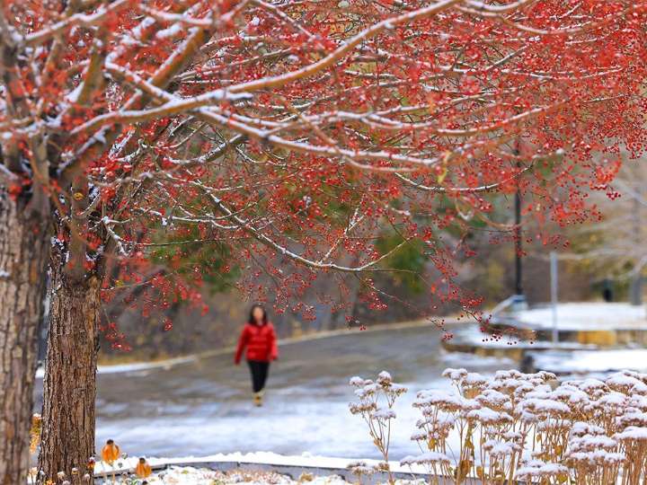 Calgary photographers in and around town for the November 7