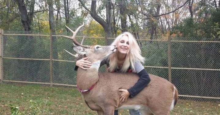 Tragedy as grandma mauled to death by deer she rescued and tried to domesticate