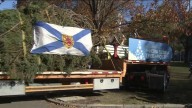 54th Annual holiday tree arrives at Boston Common from Nova Scotia