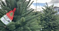 Christmas tree lot opens early in Spokane to support children's therapy nonprofit