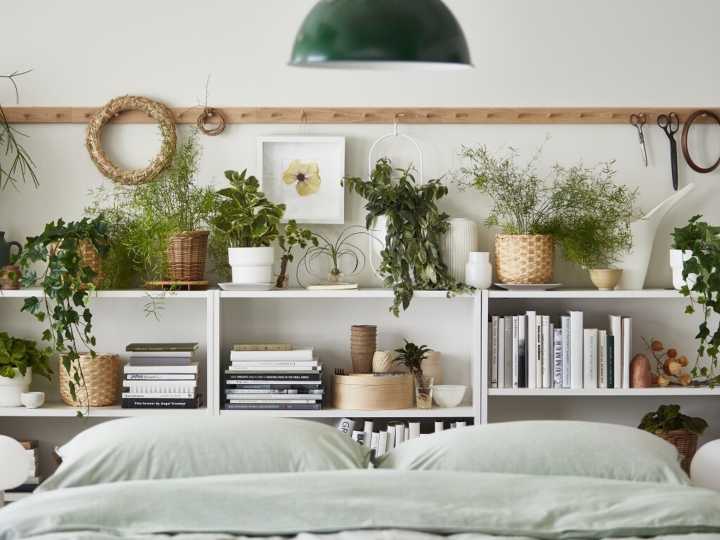 Mito o verdad: ¿las plantas en el dormitorio quitan oxígeno?