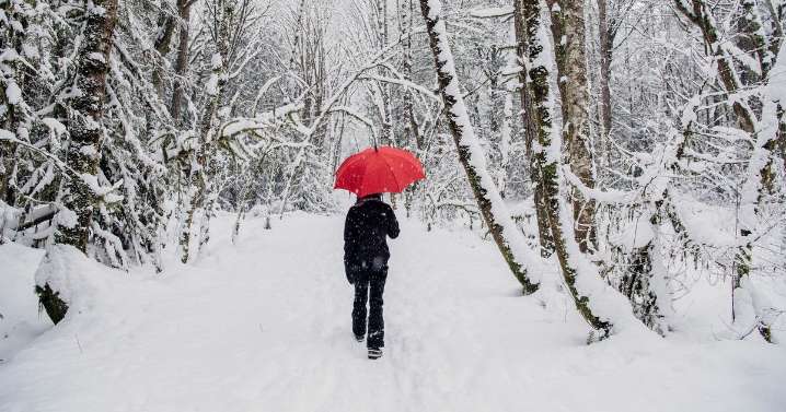Met Office rare amber snow warning as power cuts and travel chaos very likely across UK