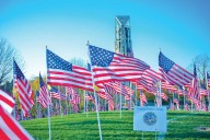 Naperville Veterans Day Week Events and Activities