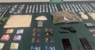 Desarticulan banda dedicada al tráfico de drogas en Curicó: hay ocho detenidos