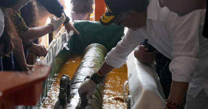 Un cañón, porcelanas chinas y monedas, las piezas arqueológicas que extrajo Colombia del galeón San José