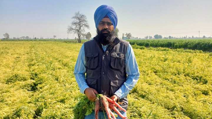 Shifting from paddy-wheat cycle & stubble burning, still earning in millions: Meet Tarn Taran’s 24×7, 365 days active farmer