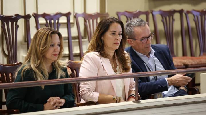 El Parlamento de Canarias da vía libre al blindaje competencial de los cabildos