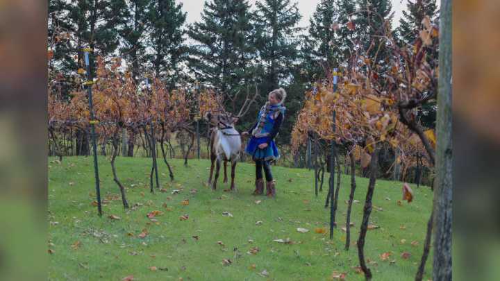 Reindeer Village coming to Solu Estate Winery 🦌