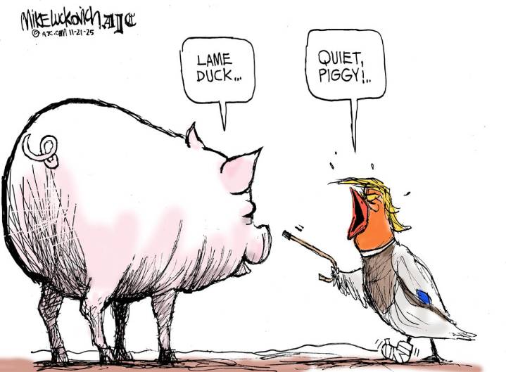Cartoon: Lame duck
