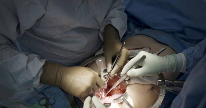 First clinical trial of pig kidney transplants gets underway