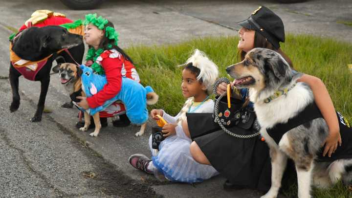 Trick or Treat in Titusville on Halloween a cool weather evening.