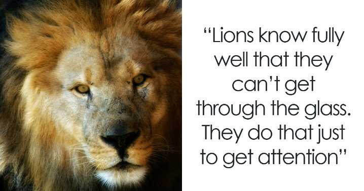 “The Zebras Are Ruthless”: 30 Unexpected Secrets Only Zoo Employees Know