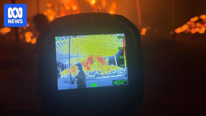 Major feed mill in the Northern Territory getting back on track after fire