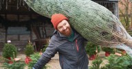 Christmas tree expert warns you must never store your tree in 2 places