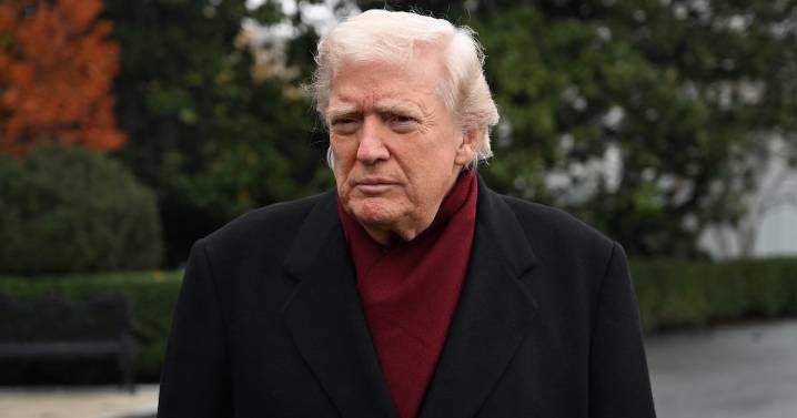 Trump’s New Accessory Gets Chilly Reception