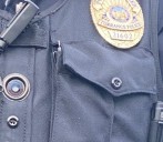 Ex-Torrance police officer pleads guilty to assault charges, case likely to be dismissed in a year