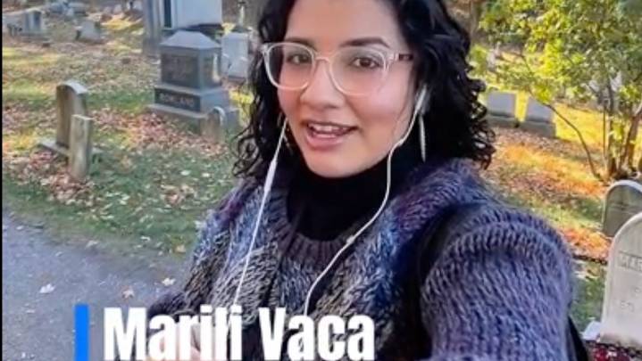 Did Rochester voters cover Susan B. Anthony's gravesite in stickers?