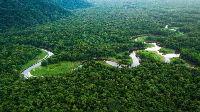 Unesco: Venezuela entre las 10 reservas de biosfera mundial