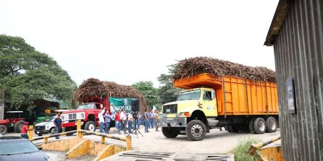 Arranca la zafra en Santa Rosalía