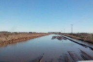 Emergencia agropecuaria: Luis Caputo se acordó de atender al campo