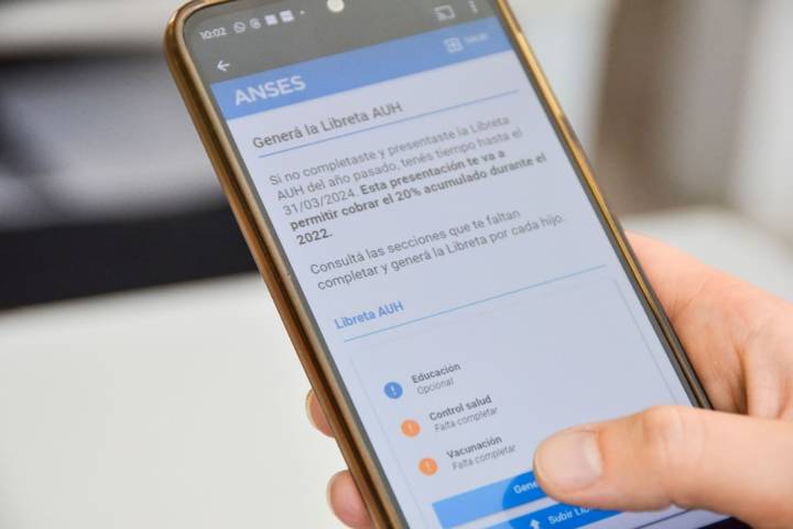 Procedimiento. El paso a paso para la presentación digital de la Libreta AUH 2025