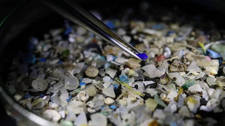 Aunque los microplásticos parecen inevitables, estas son cuatro acciones para mitigarlos