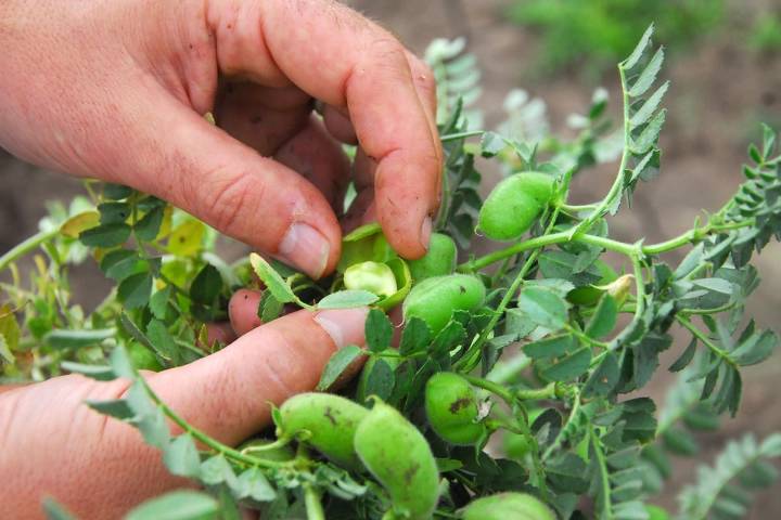 Multas millonarias. Recrudeció un conflicto entre productores del norte y un organismo oficial