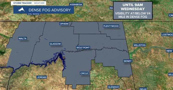 Trending News (Wednesday, November 19, 2025)