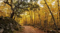 Diez rincones de Extremadura donde enamorarse del otoño