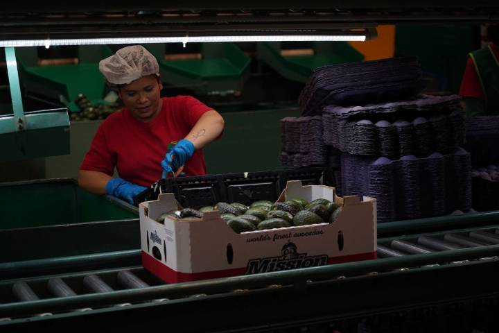 Tasa de desempleo en México queda en 2.9% en el tercer trimestre