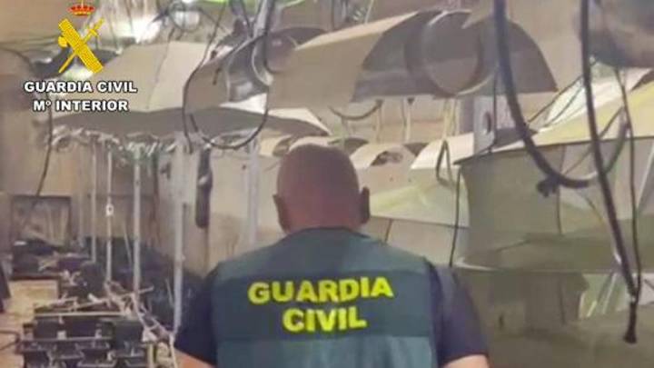 La Guardia Civil desmantela una plantación de marihuana en una nave industrial de Almendralejo y detiene a dos personas