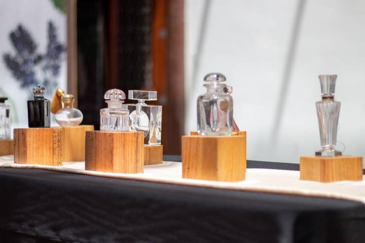 Compradores de la Gen Z están obsesionados con los perfumes; estas son sus marcas preferidas