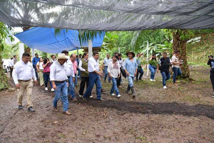 Con Sembrando Vida, el campo tabasqueño tiene larga vida: Javier May