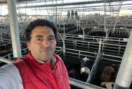 Sergio Pedace: “La carne subió 22% y faltan animales, por eso los precios van a seguir en alza”