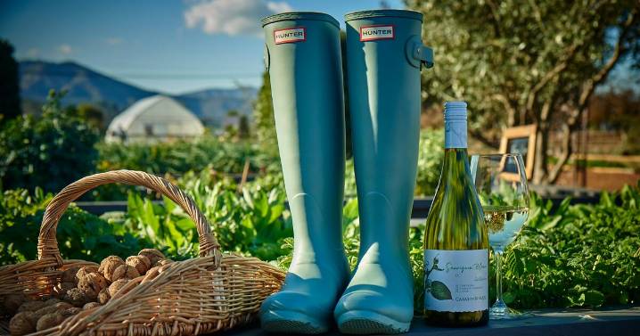 Viña Casas del Bosque: frescura y calidad desde Casablanca