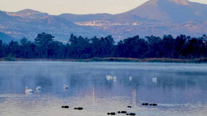 EU mete presión a México para entrega de más de mil millones de metros cúbicos de agua