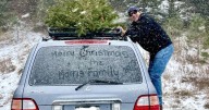 Christmas tree chopping permits for 2025 go on sale around Colorado