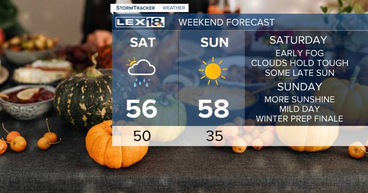 The Weekend Will Get Better