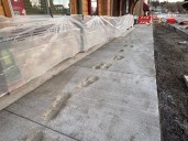 Over $10K in damages after drying concrete walked through