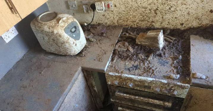 Inside 'harrowing' North East home where woman left four dogs to starve to death