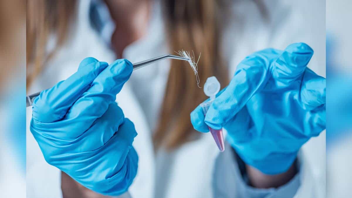 Telangana: Job applications invited for Forensic Science Laboratory