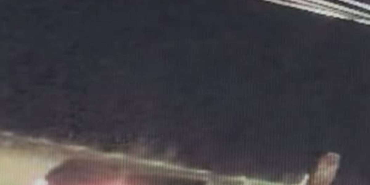 Waupaca County Sheriff’s Office asking for public’s help in identifying a vehicle involved in a hit and run