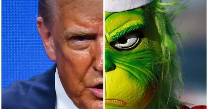 Trump’s Tariffs Set to Send Christmas Tree Prices Soaring