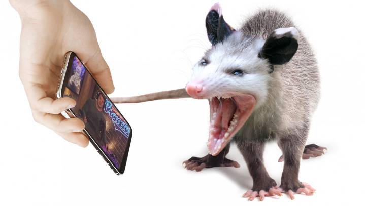YouTube To Run All Potentially Offensive Content Past Easily Spooked Possum