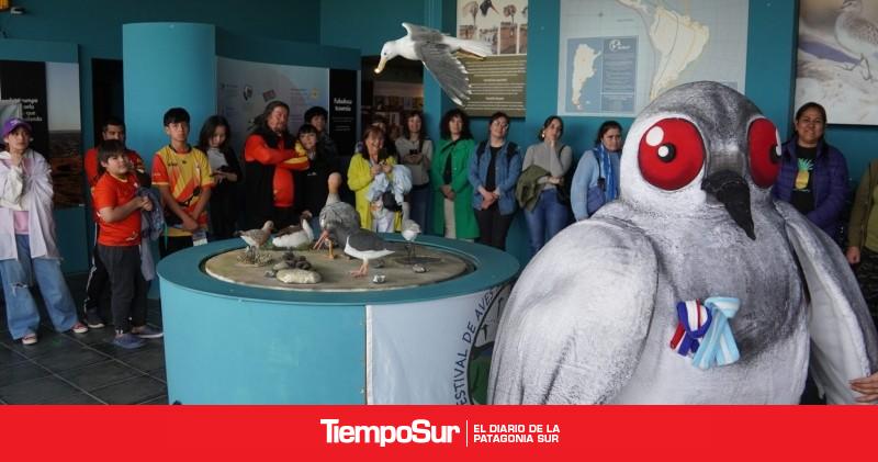 Aves playeras El estuario del Río Gallegos celebró 20 años como sitio de importancia internacional